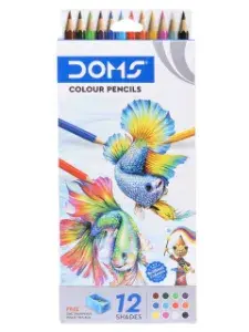 DOMS Full Size Color pencil - 12Pcs Free 1 Sharpner.