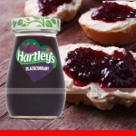 Hartley's Blackcurrant Jam 340G