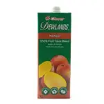 Clover Dewland Mango Juice 1Litre