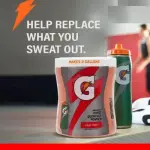 Gatorade Thirst Quencher Powder Fruit Punch Flavored 521G