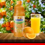 Sunquick Oren Orange Fruit Concentrate 800ml