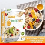 Love Earth Nothing Artificial Instant Muesli Multi Grains C'lestro Oat 400gm