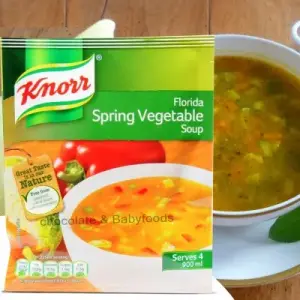 Knorr Florida Spring Vegetable Soup 48G