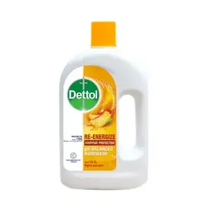 Dettol Handwash Re-Energize Liquid Refill 750 ml